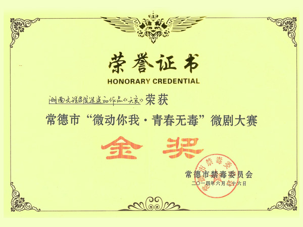 微劇大賽-金獎