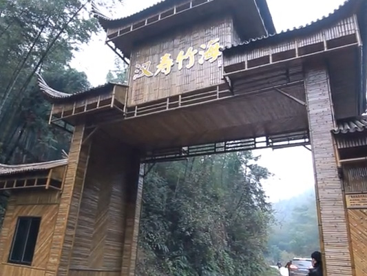 專題片-漢壽竹海森林公園