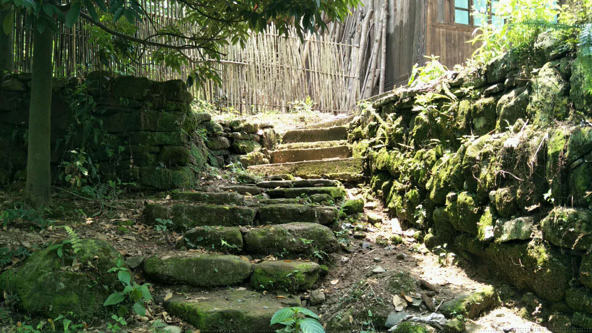 隆飛影視,宣傳片拍攝,專題片拍攝,隆飛影視文化傳播,常德紀(jì)錄片拍攝,宣傳片拍攝價(jià)格,沅澧美味167,常德梨園頌,梨園頌