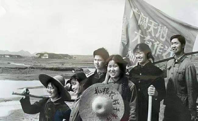文化動(dòng)態(tài)—2022