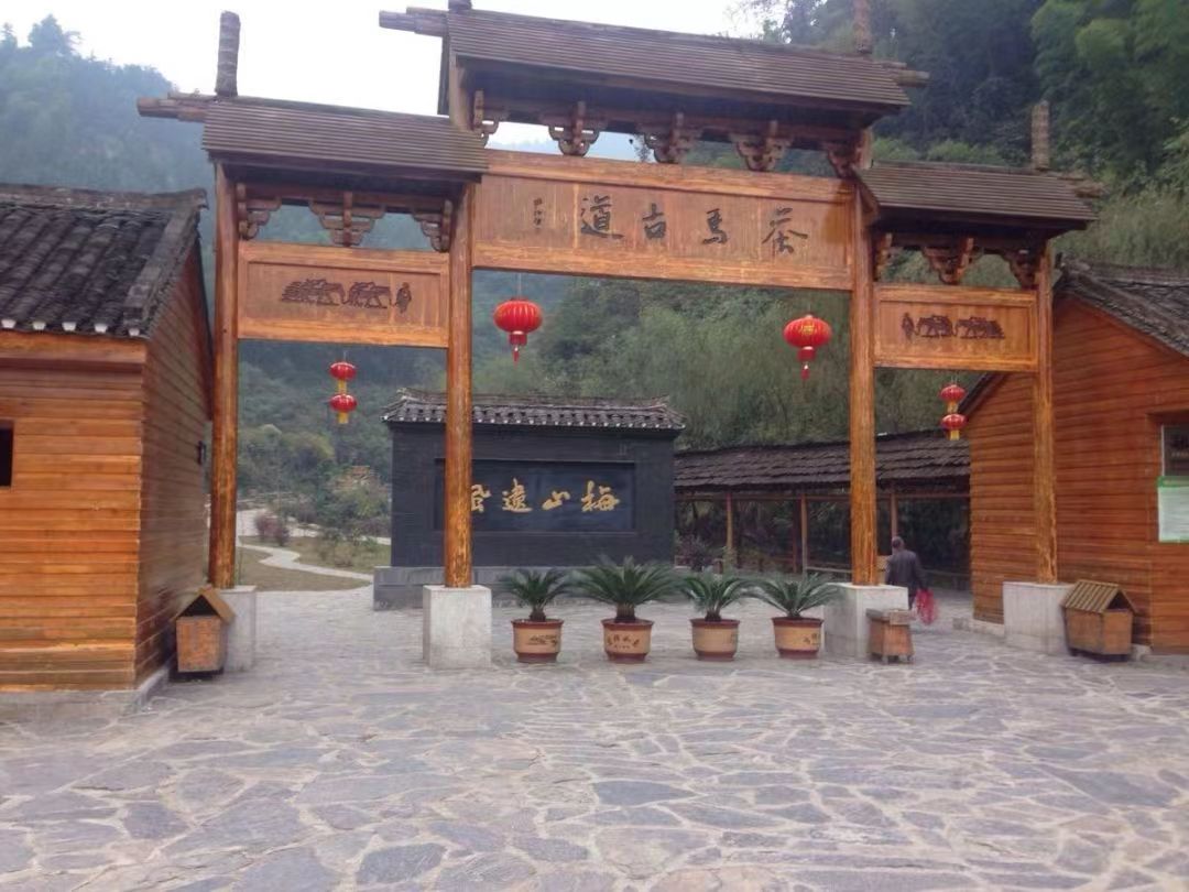 文化動態(tài)—2022