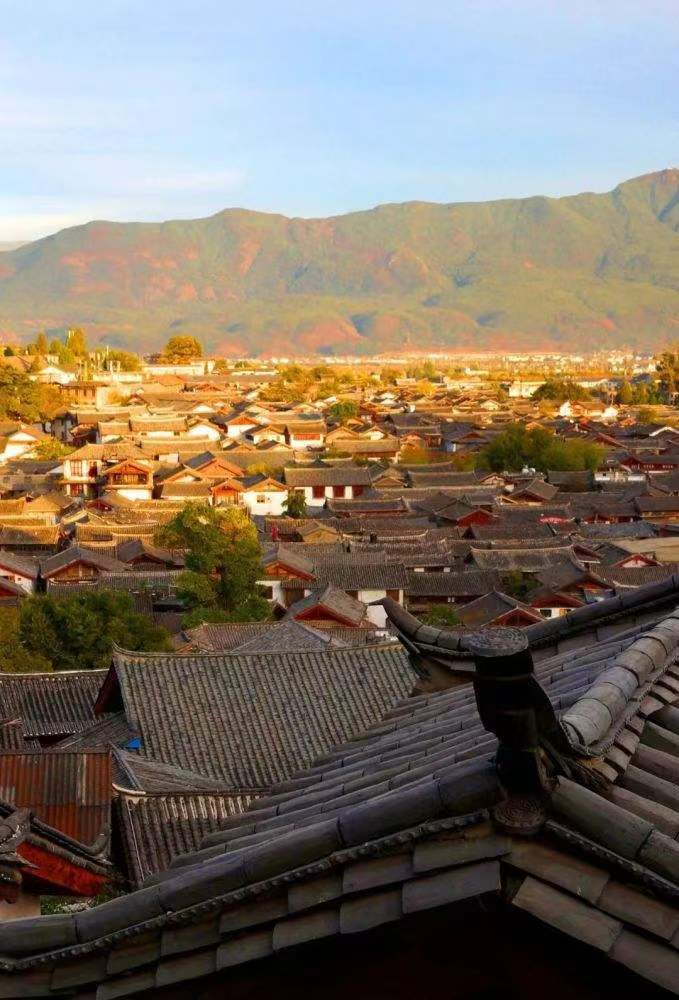 文化動(dòng)態(tài)—2022