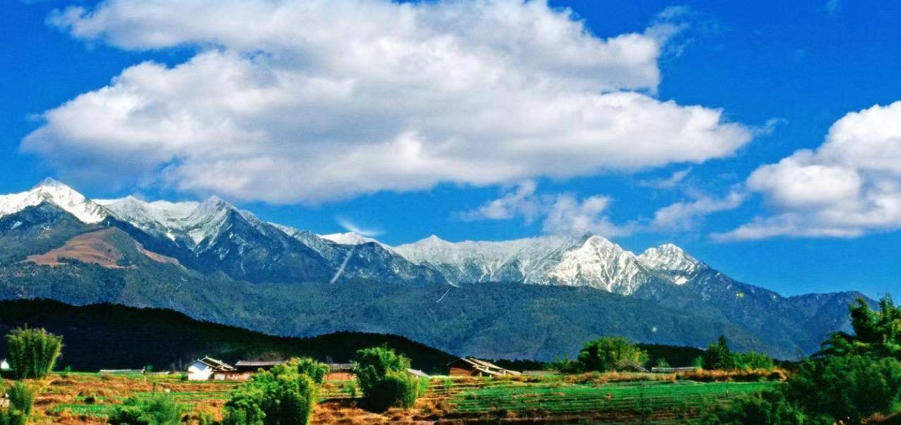 文化動(dòng)態(tài)—2022