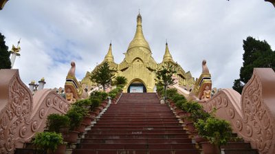 文化動(dòng)態(tài)—2022