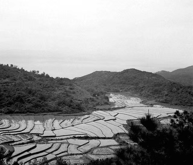 文化動態(tài)—2022