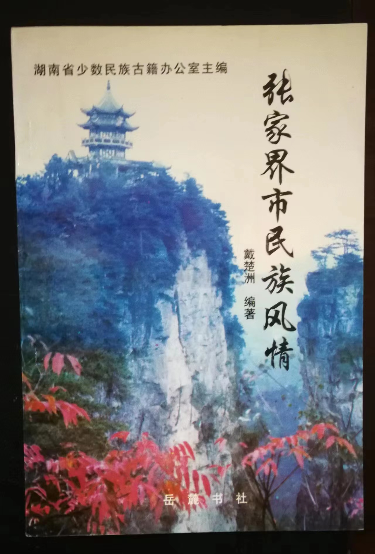 隆飛影視,宣傳片拍攝,專(zhuān)題片拍攝,隆飛影視文化傳播,常德紀(jì)錄片拍攝,宣傳片拍攝價(jià)格,沅澧美味167,常德梨園頌,梨園頌