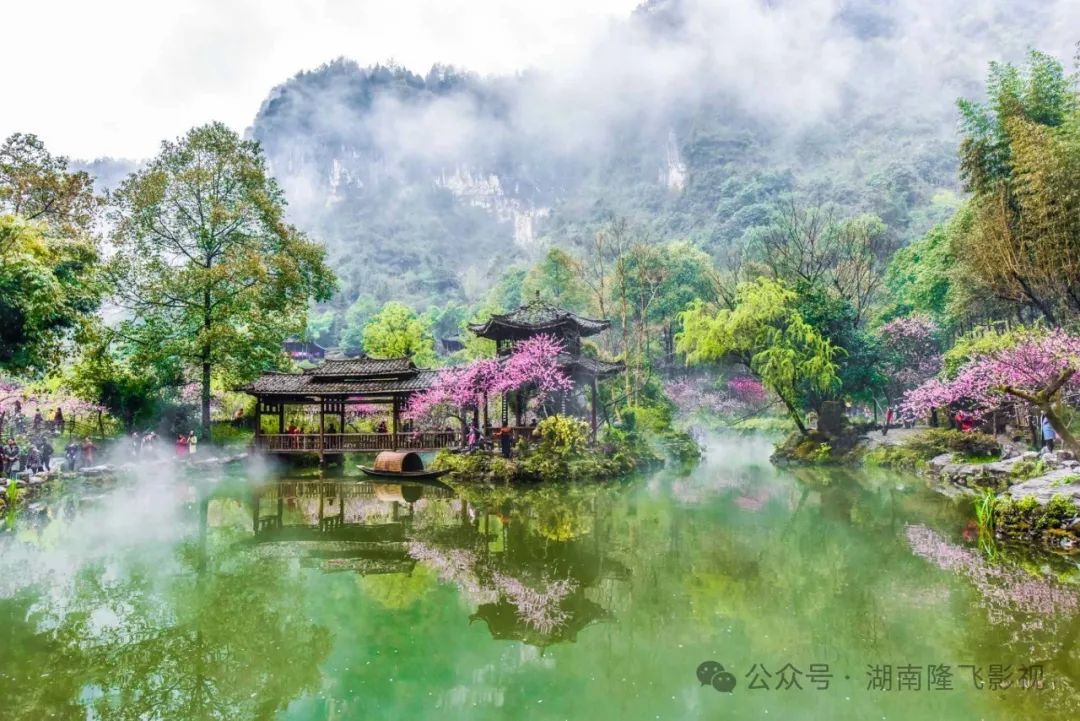 隆飛影視,宣傳片拍攝,專題片拍攝,隆飛影視文化傳播,常德紀錄片拍攝,宣傳片拍攝價格,沅澧美味167,常德梨園頌,梨園頌
